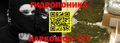 прущие грибы Обнинск