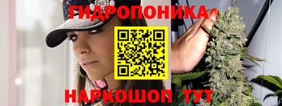 прущие грибы Обнинск