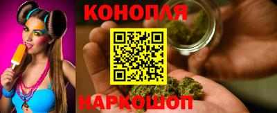 прущие грибы Обнинск