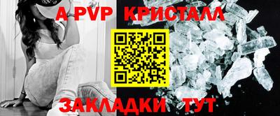 прущие грибы Обнинск